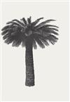 RUSCHA, EDWARD. A select group of 12 artist photo books,